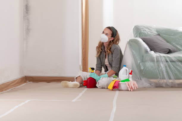 Reliable Basement Mold Removal contractor in Trenton, NJ by WQB Mold Removal